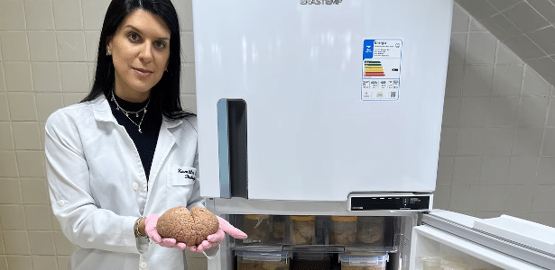 Cientista voa com cérebros de golfinhos embalados em fraldas - por uma boa causa