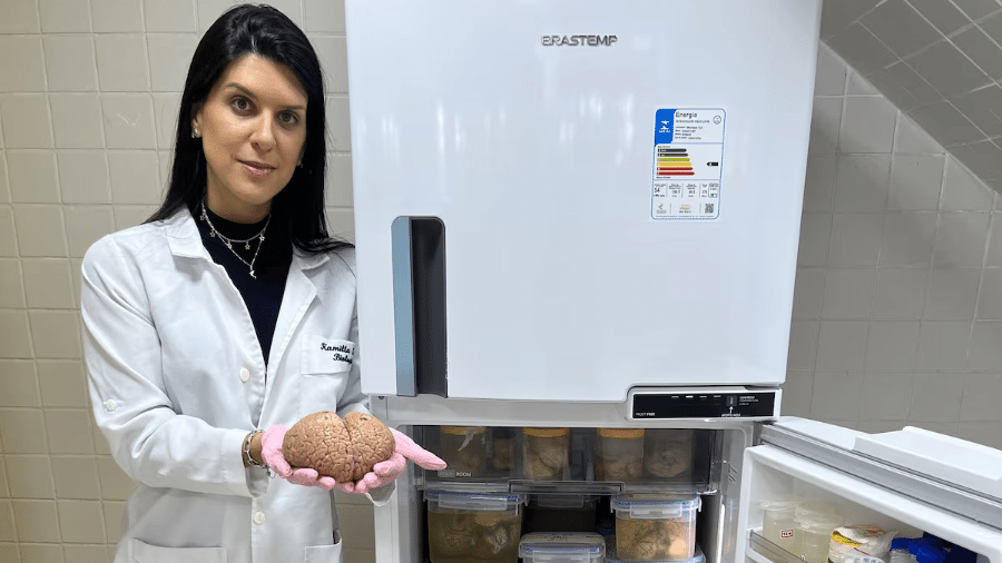 Geladeira com os cérebros coletados durante o projeto de doutorado da Kamilla e que agora constituem parte da coleção da Rede Brasileira de Neurobiodiversidade na UFRJ