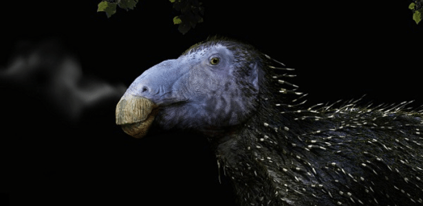 Dinossauro com espinhos ocos nunca antes vistos é descoberto na China