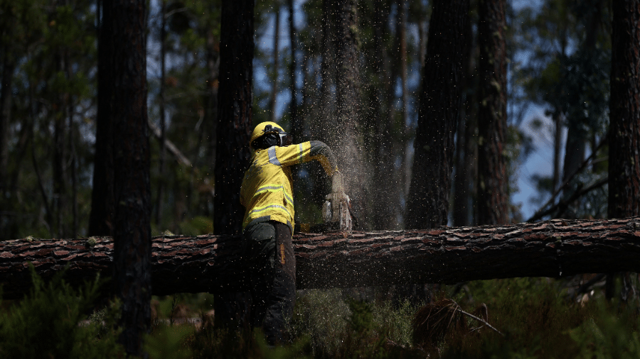 Rodrigo Antunes/Reuters
