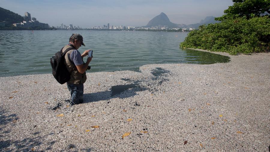 21.dez.2018 - O biólogo Mario Moscatelli observa peixes mortos na lagoa Rodrigo de Freitas - Márcia Foletto/Agência O Globo