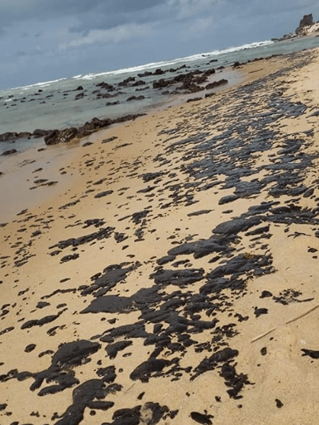 Manchas vistas em praias do litoral de Alagoas, Pernambuco, Paraíba e Rio Grande do Norte - Reprodução/Instagram