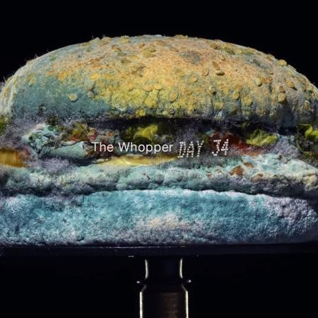 Vídeo do Burger King mostra como fica o sanduíche Whopper após 34 dias  - Reprodução/YouTube/Burger King