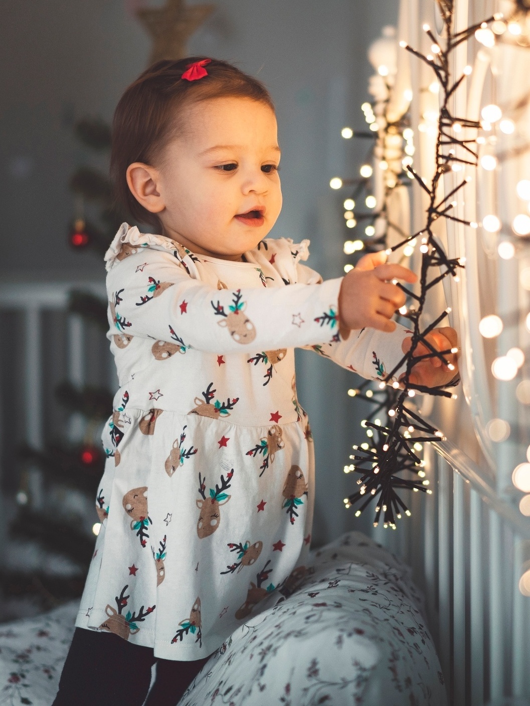 Como decorar com luzes de Natal sem riscos e sem estourar a conta
