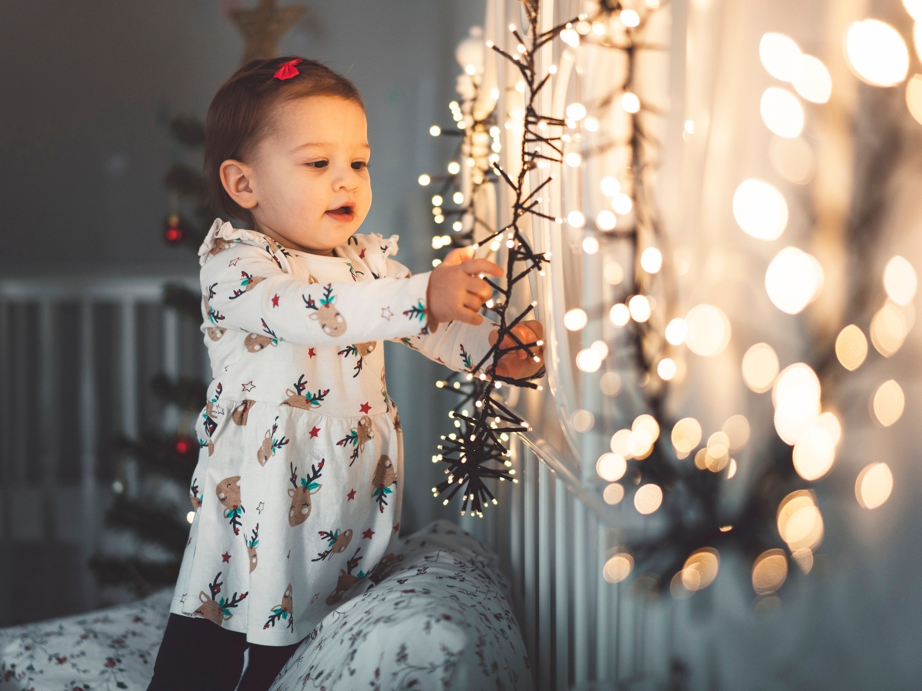 Luzes de Natal: decore a casa com economia e segurança