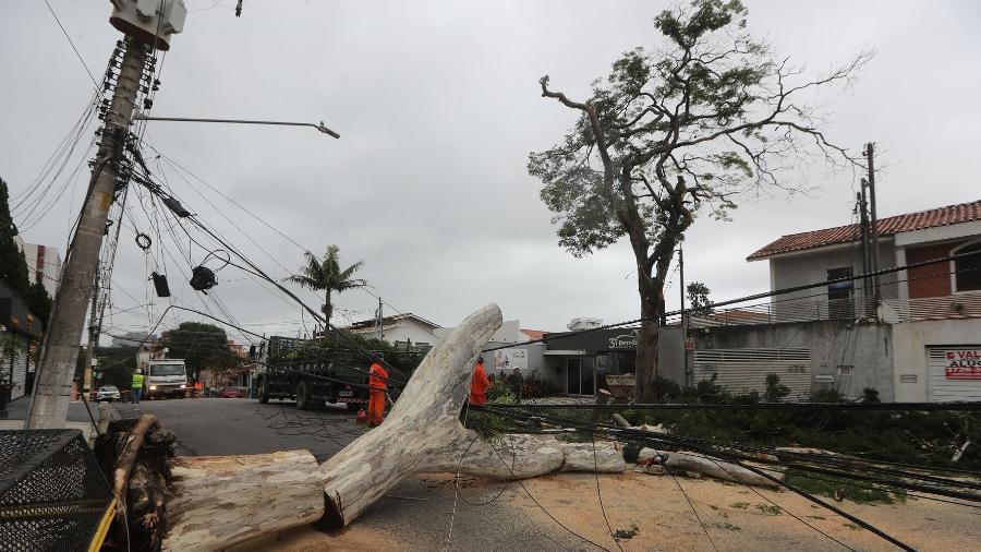 Funcionários da prefeitura e da Enel trabalham na Rua Dom Armando Lombardi, Vila Progredior, zona sul de São Paulo