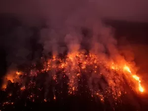 Fogo destruiu área igual a Roraima até setembro, 150% a mais que em 2023