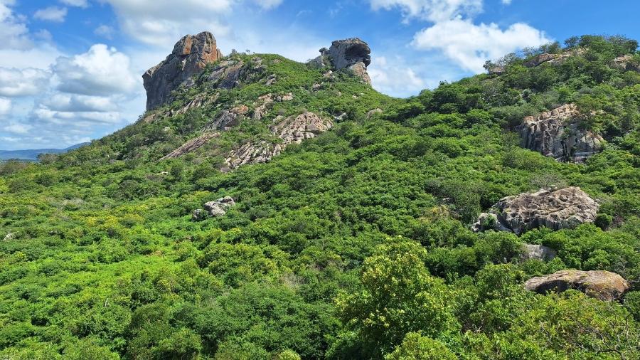 Caatinga em Quixadá (CE): riqueza constatada do bioma em estudos Caatinga em Quixadá (CE): riqueza constatada do bioma em estudos