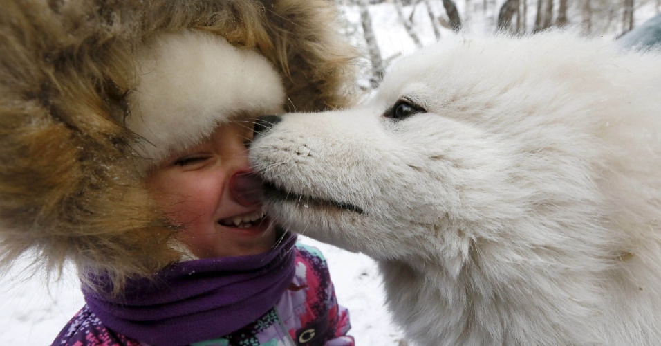18.nov.2015 - Uma menina brinca com um cão durante as celebrações para o aniversário do pai Frost (Papai Noel russo) no Parque de Flora e Fauna Royev Ruchey, em Taiga, subúrbios da cidade siberiana de Krasnoyarsk, na Rússia