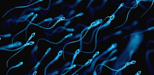 A menor quantidade de espermatozoides produzida pelos homens em idades mais avançadas pode explicar a queda da fertilidade masculina - Istock