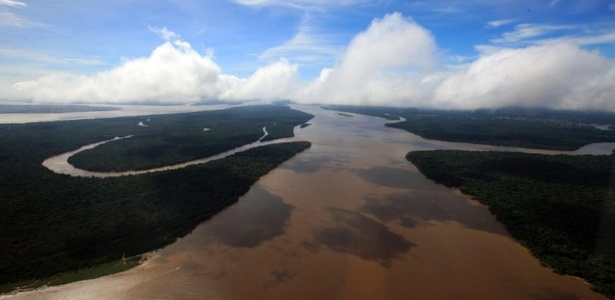 Para o projeto da Terceira Via Amazônica, ganhar dinheiro com a floresta é a melhor forma de preservá-la - Agência Pará