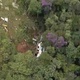 MG - Arquivo pessoal - Arquivo pessoal