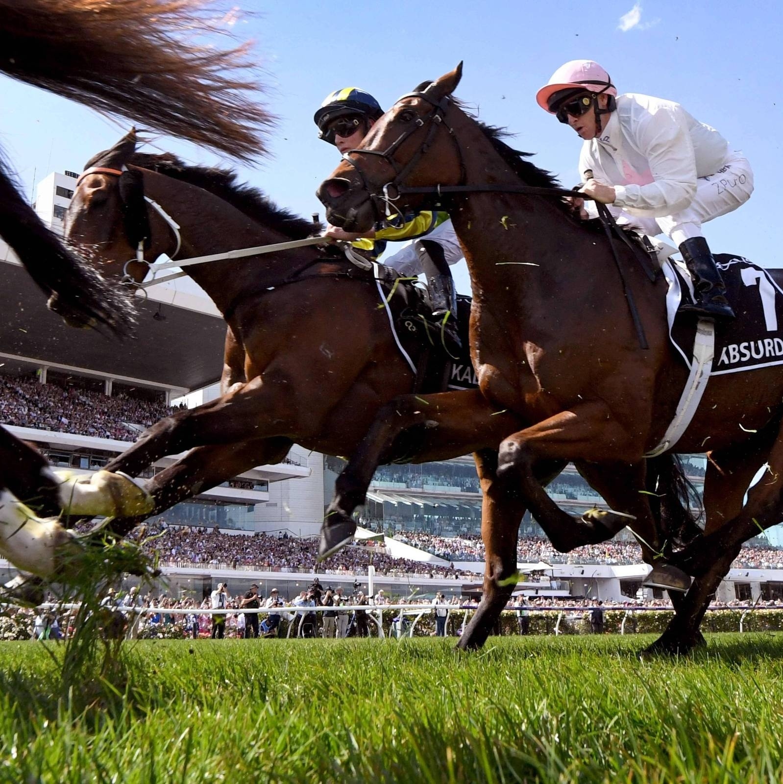 Câmara de SP aprova proibição de corridas de cavalo; afeta Jockey Club