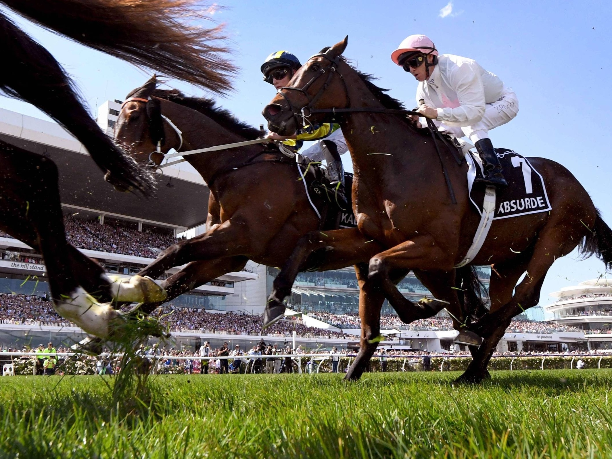 Corridas de Cavalos