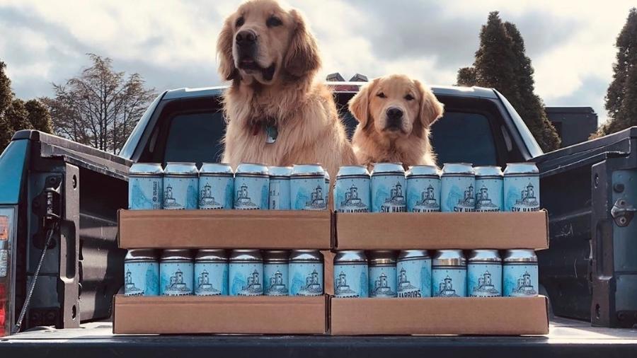 Buddy e Barley entregando cervejas - Reprodução/Instagram