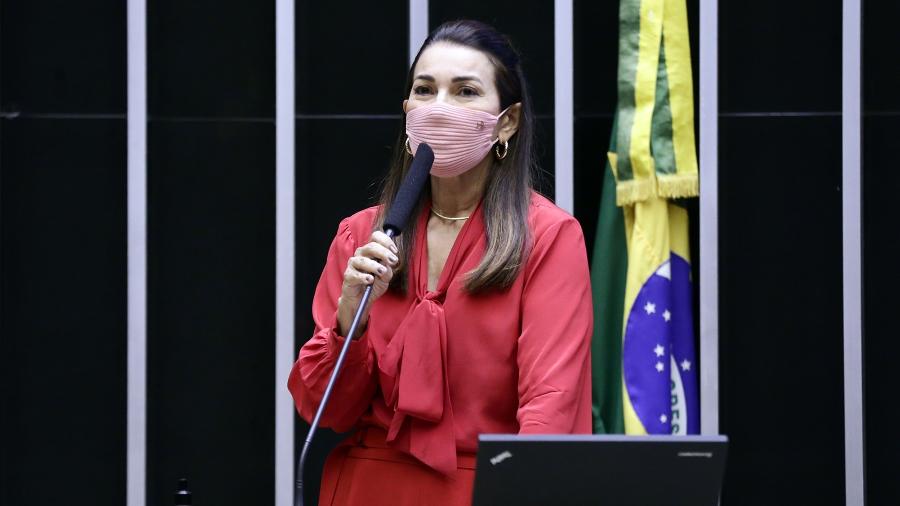 Ideia de Margarete é para uniformizar o sistema eleitoral do país, dando clareza às funções da Justiça Eleitoral - Najara Araújo/Câmara dos Deputados
