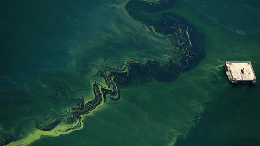 Lago Maracaibo, no oeste da Venezuela, está se tornando cada vez mais esverdeado por causa da poluição  - Reprodução/Anca24Italia