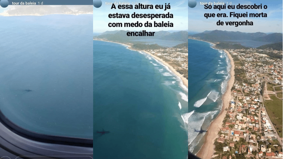 Sequência de fotos conta como passageira confundiu sombra com baleia. - Reprodução / Twitter / @joorgelimaa