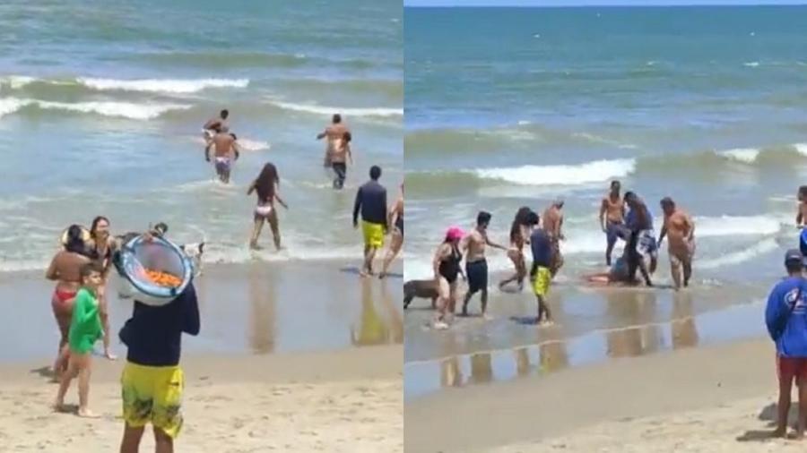Ataque foi registrado na praia de Piedade - Reprodução de vídeo