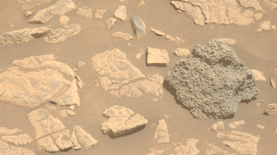 Imagem captada pelo rover Perseverance, da Nasa, da rocha Baía de São Paulo, em Marte; ela conta com série de bolinhas esféricas Imagem captada pelo rover Perseverance, da Nasa, da rocha Baía de São Paulo, em Marte; ela conta com série de bolinhas esféricas