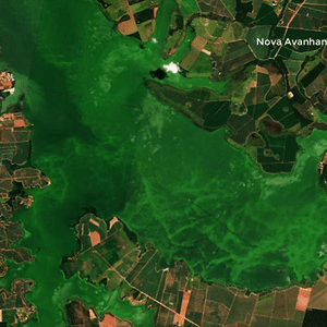 'Sopa de coisas ruins': Tietê fica verde, e mancha ameaça pesca na Quaresma