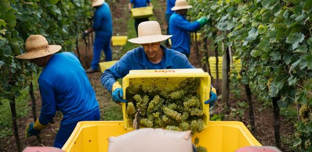 No 1º relatório ESG, Aurora mostra evolução de políticas para trabalhadores