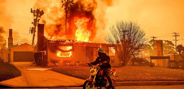Uns perdem tudo, outros lucram: o mercado distópico de apostas em incêndios