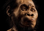 Descoberta nova espécie do gênero humano; veja a ossada - Mark Thiessen/National Geographic