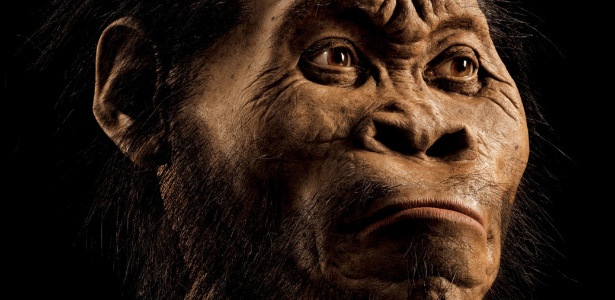 Homo naledi tem características humanas primitivas e modernas - Mark Thiessen/National Geographic