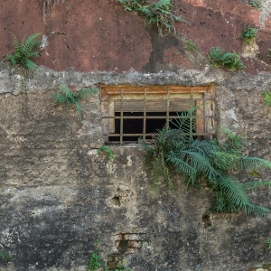 Cacalos Garrastazu/Eder Content