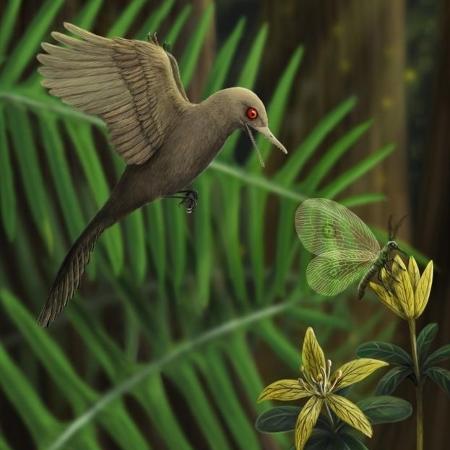 Ilustração: Apesar de seu tamanho minúsculo, o Oculudentavis khaungraae parece ter sido um predador - HAN ZHIXIN via BBC - HAN ZHIXIN via BBC