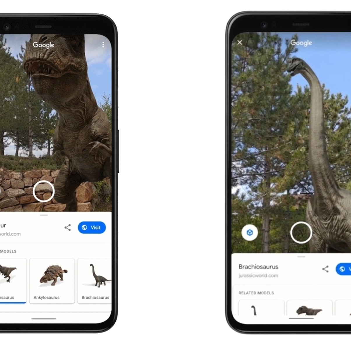 Tédio na quarentena? Veja animais em 3D pelo celular com recurso do Google