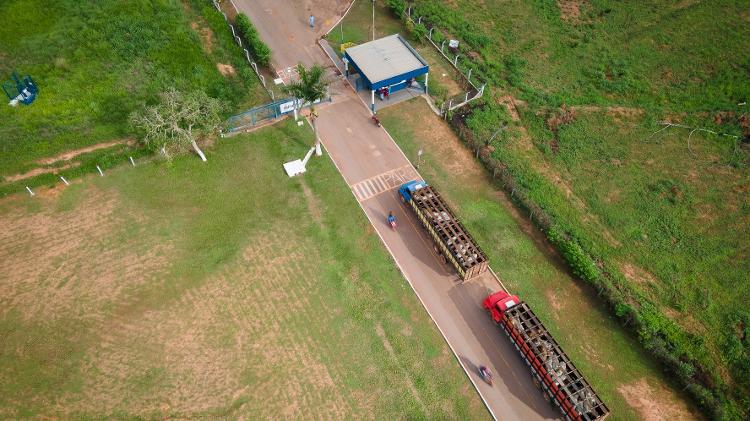 Vista aérea da chegada de bois para o abate nas instalações da Minerva, em Araguaína (TO) - Cícero Pedrosa Neto - Cícero Pedrosa Neto