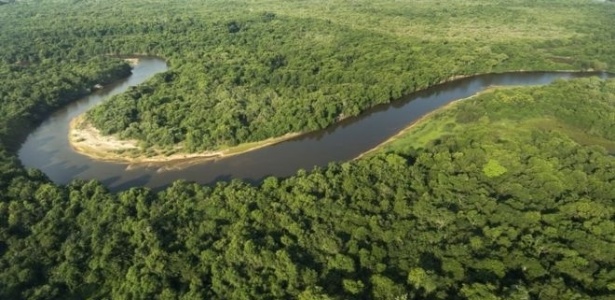 Pesquisadores temem que nova "Lei do Pantanal" aumente devastação do bioma - Getty Images