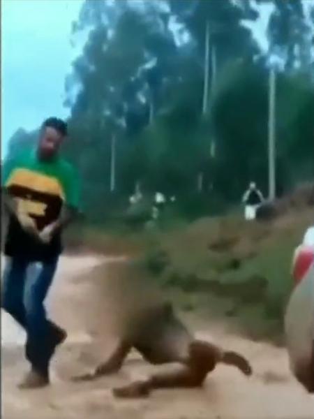 Jovem é arrastado com corda no pescoço em Goiás - Reprodução/ Twitter