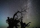 Chuva de meteoros Perseidas atinge pico semana que vem: saiba como assistir (Foto: Cao Xinjia/VCG via Getty Images)
