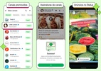 WhatsApp anuncia que passará a exibir anúncios; entenda o que muda (Foto: Divulgação)