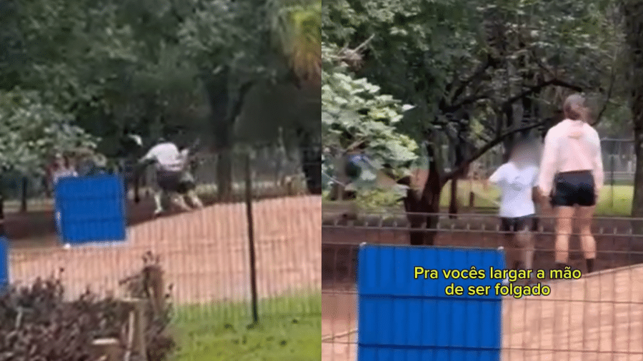 Casal é agredido por homem em área para cães no Parque Ibirapuera, em SP