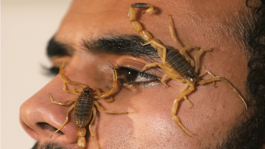 Mohamed com escorpiões no rosto; empresa dele tem mais de 80 mil animais espalhados pelo Egito - Mohamed Abd El Ghany/REUTERS