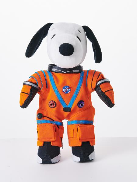 Pelúcia do Snoopy será usada em voo da Nasa para indicar gravidade zero - Nasa