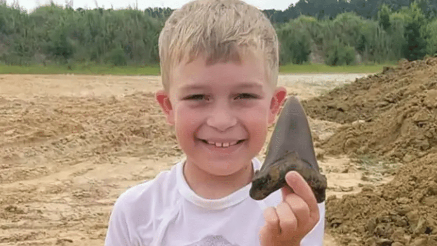 Com apenas 8 anos, Riley encontrou um dente de uma espécie de tubarão que tem milhões de anos - Reprodução/Palmetto Fossil Excursions