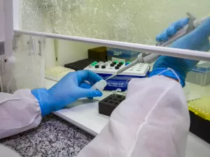 PE confirma 2ª morte de feto e apura mais duas ligadas à febre oropouche