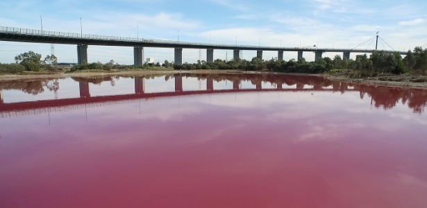 O lago, situado no parque Westgate, ficou rosa pela presença de algas - Parks Victoria/AFP Photo