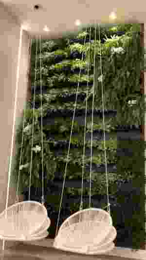 Mayra Cardi mostra jardim vertical da nova mansão em SP