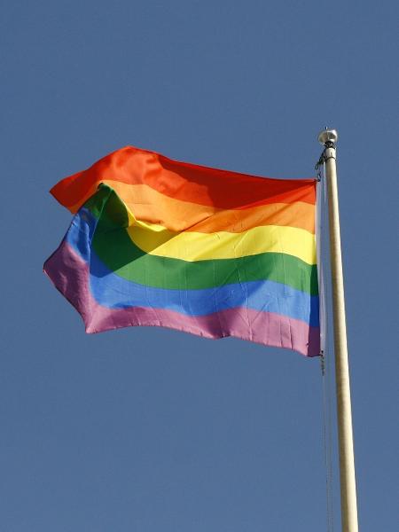Bandeira lgbtqia+ orgulho gay - Trey Musk/ Pixabay