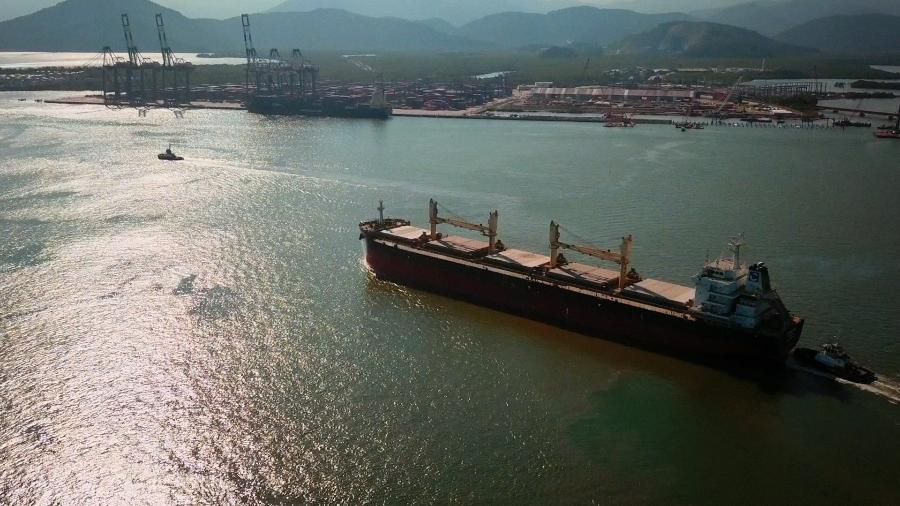 Movimentação no Porto de Santos; caminhoneiros temem perder espaço para o setor de navegação - Reprodução