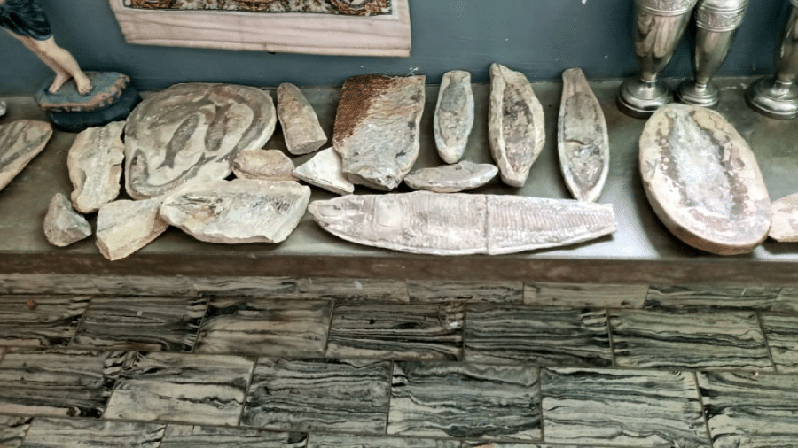 Fósseis roubados do Cariri, no Ceará, foram encontrados na casa de padre do Rio Grande do Norte - Polícia Civil do Rio Grande do Norte