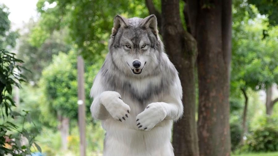 Fantasia super realista de lobo custou equivalente a R$ 123 mil no Japão - @zeppet_jp/Instagram