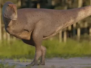 Espécie de dinossauro com braços 'ridículos' é descoberta na Patagônia