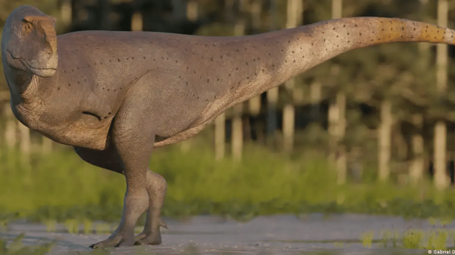 Espécie tinha o corpo mais robusto que o do tiranossauro, mas braços eram tão curtos que mal se distinguiam – aqui, uma reconstrução em 3D do animal